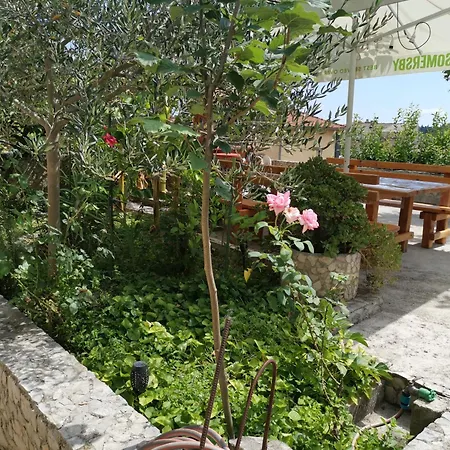 Rudelj * Makarska